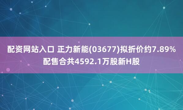 配资网站入口 正力新能(03677)拟折价约7.89%配售合共4592.1万股新H股