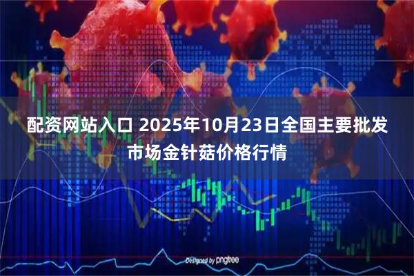 配资网站入口 2025年10月23日全国主要批发市场金针菇价格行情